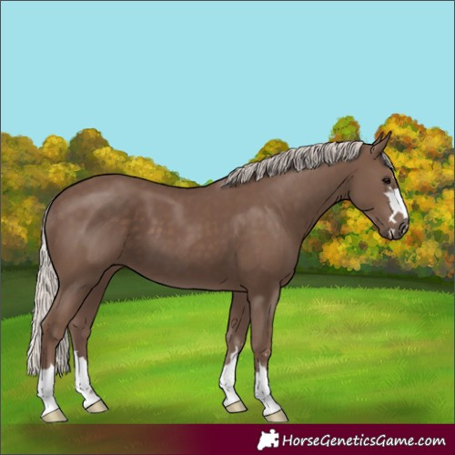 Horse Color:Silver Black 