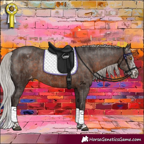 Horse Color:Silver Black Rabicano  and Silver Brown Sabino Appaloosa Rabicano 