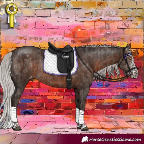 Horse Color:Silver Black Rabicano  and Silver Brown Sabino Appaloosa Rabicano 