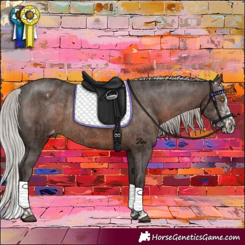 Horse Color:Silver Black Rabicano and Silver Brown Sabino Appaloosa Rabicano