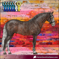 Horse Color:Silver Black Rabicano and Silver Brown Sabino Varnish Rabicano