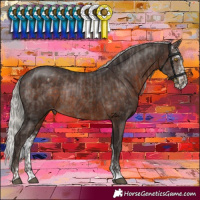 Horse Color:Silver Black Rabicano  and Silver Brown Sabino Varnish Rabicano 
