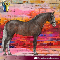Horse Color:Silver Black Rabicano  and Silver Brown Sabino Varnish Rabicano 