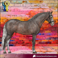 Horse Color:Silver Black Rabicano  and Silver Brown Sabino Appaloosa Rabicano 