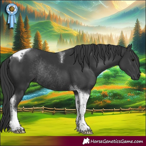Horse Color:Black Tobiano Rabicano