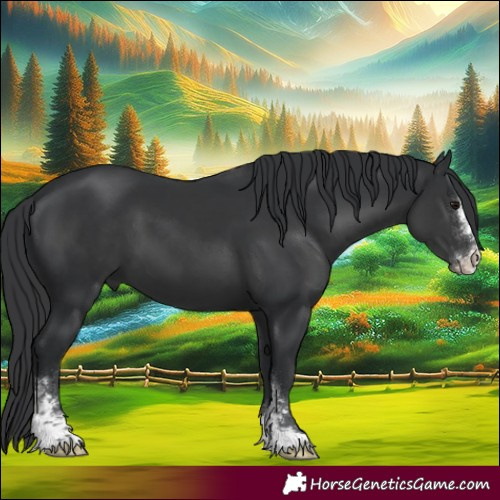 Horse Color:Black Sabino