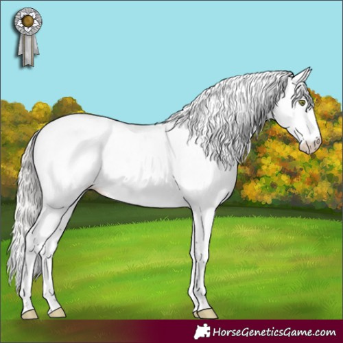 Horse Color:Silver Brown Sabino Appaloosa Rabicano