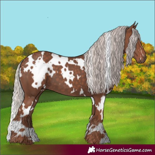 Horse Color:White Spotted Silver Black 