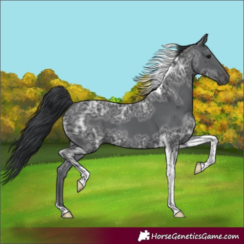 Horse Color:Black Ice Tobiano