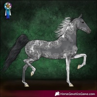 Horse Color:Black Ice Tobiano