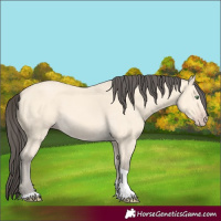 Horse Color:Amber Cream Champagne Tobiano 