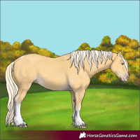 Horse Color:Gold Cream Champagne Tobiano 