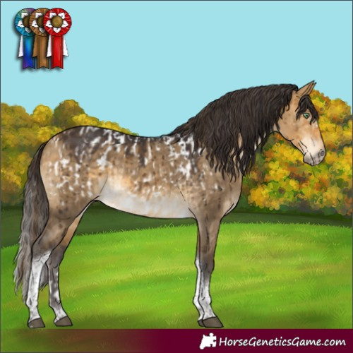 Horse Color:Buckskin Dun Sabino Tobiano Blanket Brindle and Buckskin Dun Tobiano Brindle