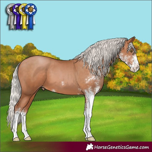 Horse Color:Silver Brown Pearl Sabino 