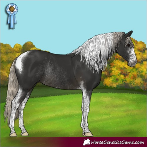 Horse Color:Gray Silver Smoky Black Sabino Tobiano Rabicano 