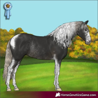 Horse Color:Gray Silver Smoky Black Sabino Tobiano Rabicano 