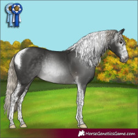 Horse Color:Gray Silver Smoky Black Sabino Tobiano Rabicano