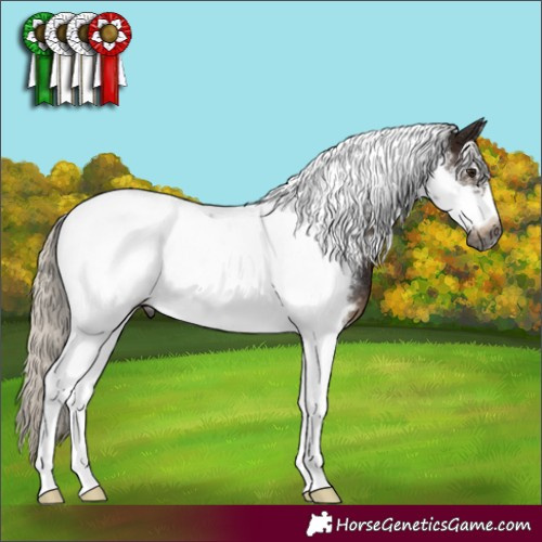 Horse Color:Gray Silver Brown Sabino Tobiano Frame Appaloosa Rabicano 