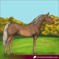 Horse Color:Chocolate Palomino