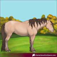 Horse Color:Amber Champagne 
