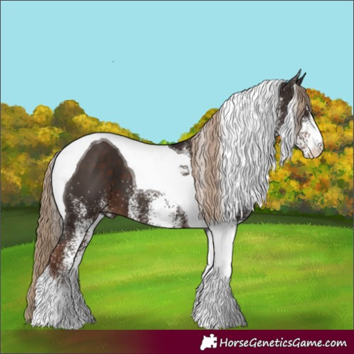 Horse Color:White Spotted Liver Chestnut Tobiano 