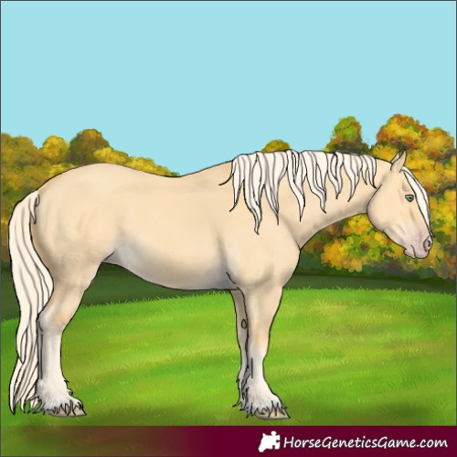 Horse Color:Gold Cream Champagne Dun 