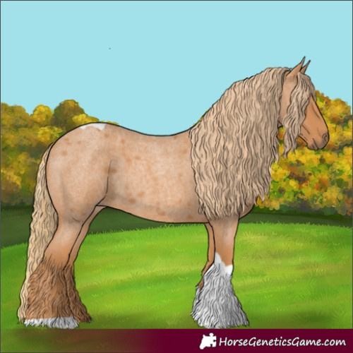 Horse Color:Red Roan Tobiano 