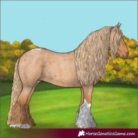 Horse Color:Red Roan Tobiano