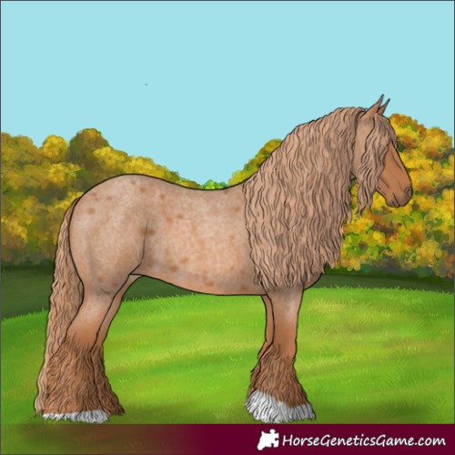 Horse Color:Red Roan Tobiano 