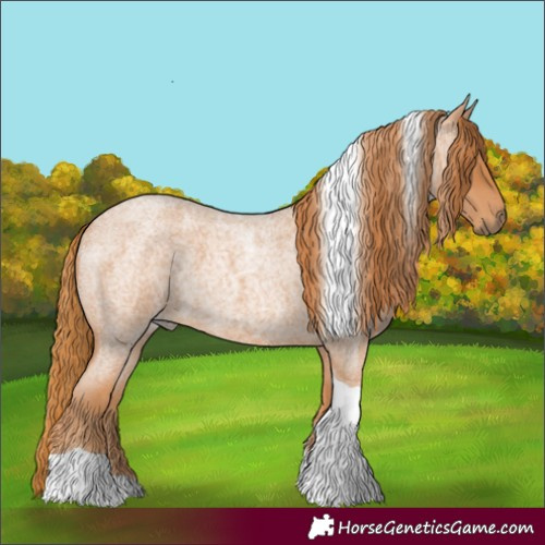 Horse Color:Red Roan Tobiano 