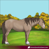 Horse Color:Classic Champagne 