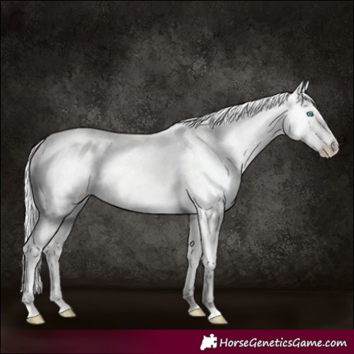 Horse Color:Silver Smoky Creme Dun