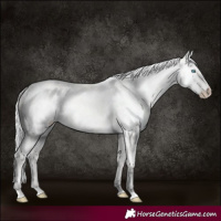 Horse Color:Silver Smoky Creme Dun
