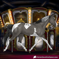 Horse Color:Grullo Splash Tobiano 