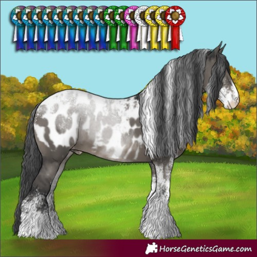 Horse Color:Powder White Grullo Near Leopard 