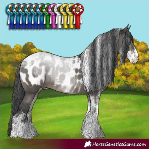 Horse Color:Powder White Grullo Appaloosa