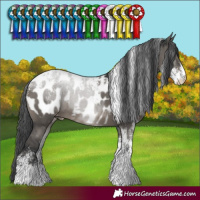 Horse Color:Powder White Grullo Near Leopard