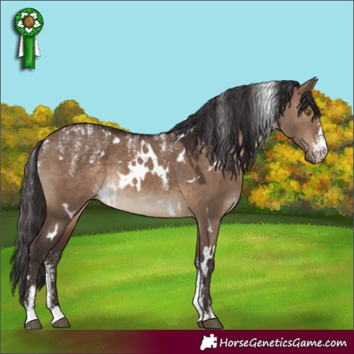 Horse Color:Powder White White Spotted Brown Dun Rabicano 