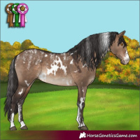 Horse Color:Powder White White Spotted Brown Dun Rabicano