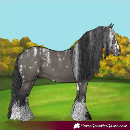 Horse Color:Powder White White Spotted Grullo Rabicano 