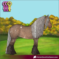 Horse Color:White Spotted Silver Brown Dun Rabicano