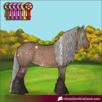 Horse Color:White Spotted Silver Brown Dun Rabicano