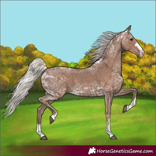 Horse Color:Silver Black Ice 