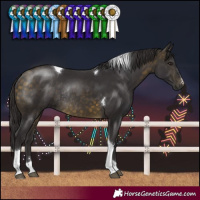 Horse Color:Buckskin Tobiano Rabicano 