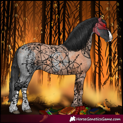 Horse Color:Blue Roan Splash 