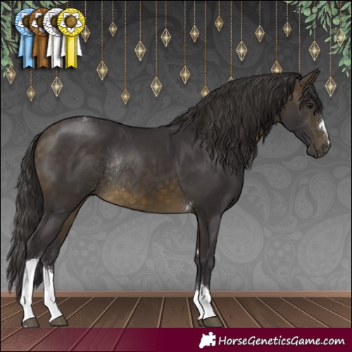 Horse Color:Buckskin Tobiano Rabicano 
