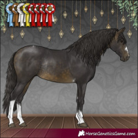 Horse Color:Buckskin Tobiano Rabicano