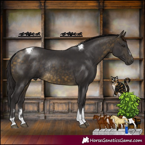 Horse Color:Buckskin Tobiano Rabicano 