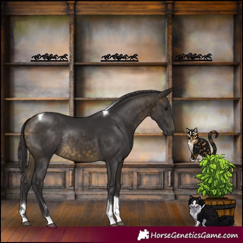 Horse Color:Buckskin Tobiano Rabicano 