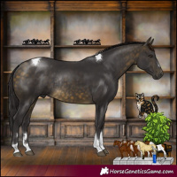 Horse Color:Buckskin Tobiano Rabicano 